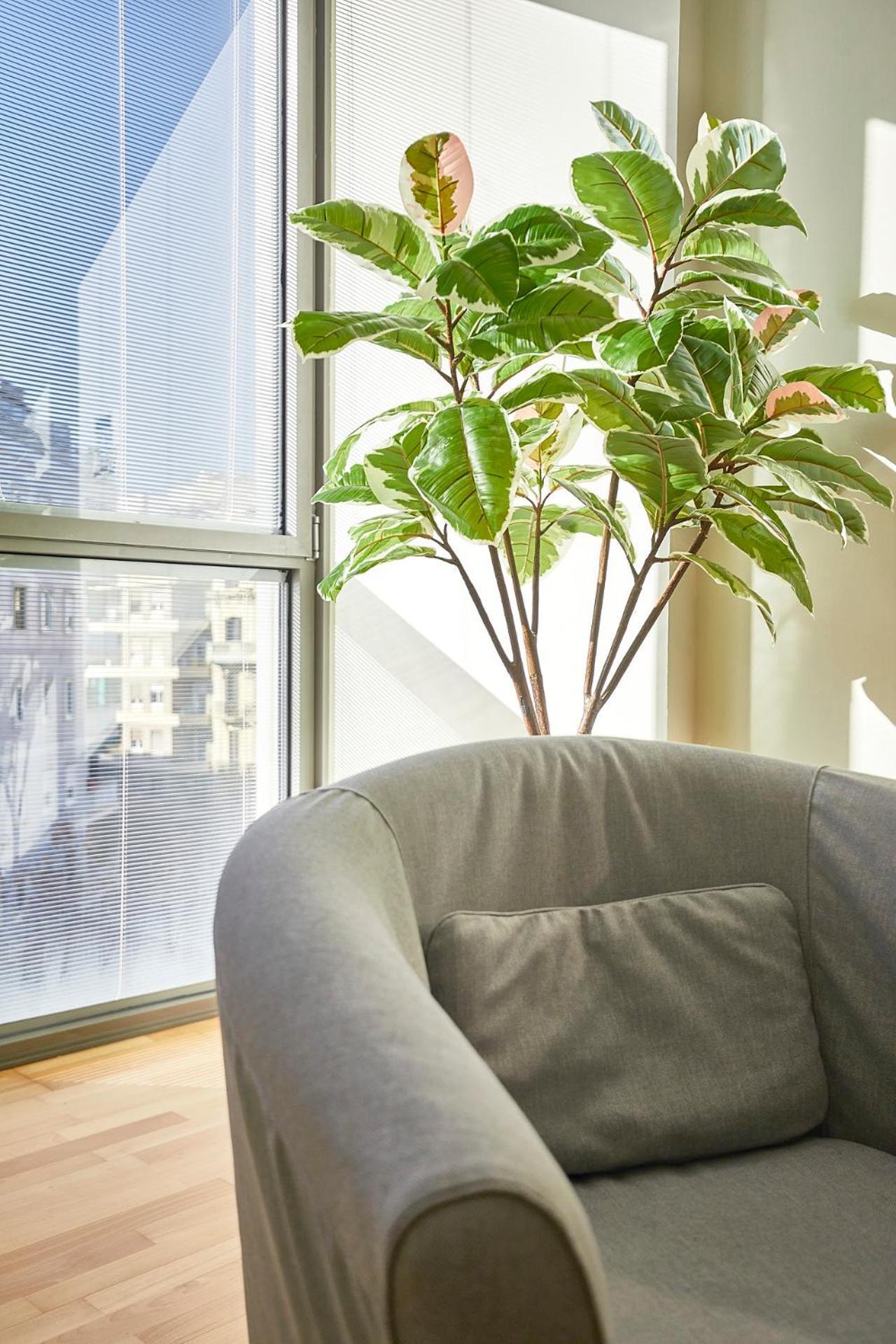 Bbarcelona Placa Universitat Flat Luaran gambar